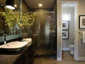 Bathroom renovation design in Ellicott City, MD 21043