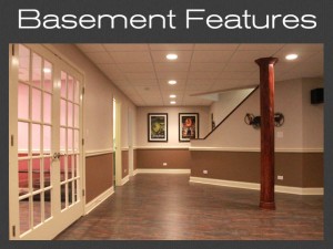 Basement features in Ellicott City, MD 21042-21043